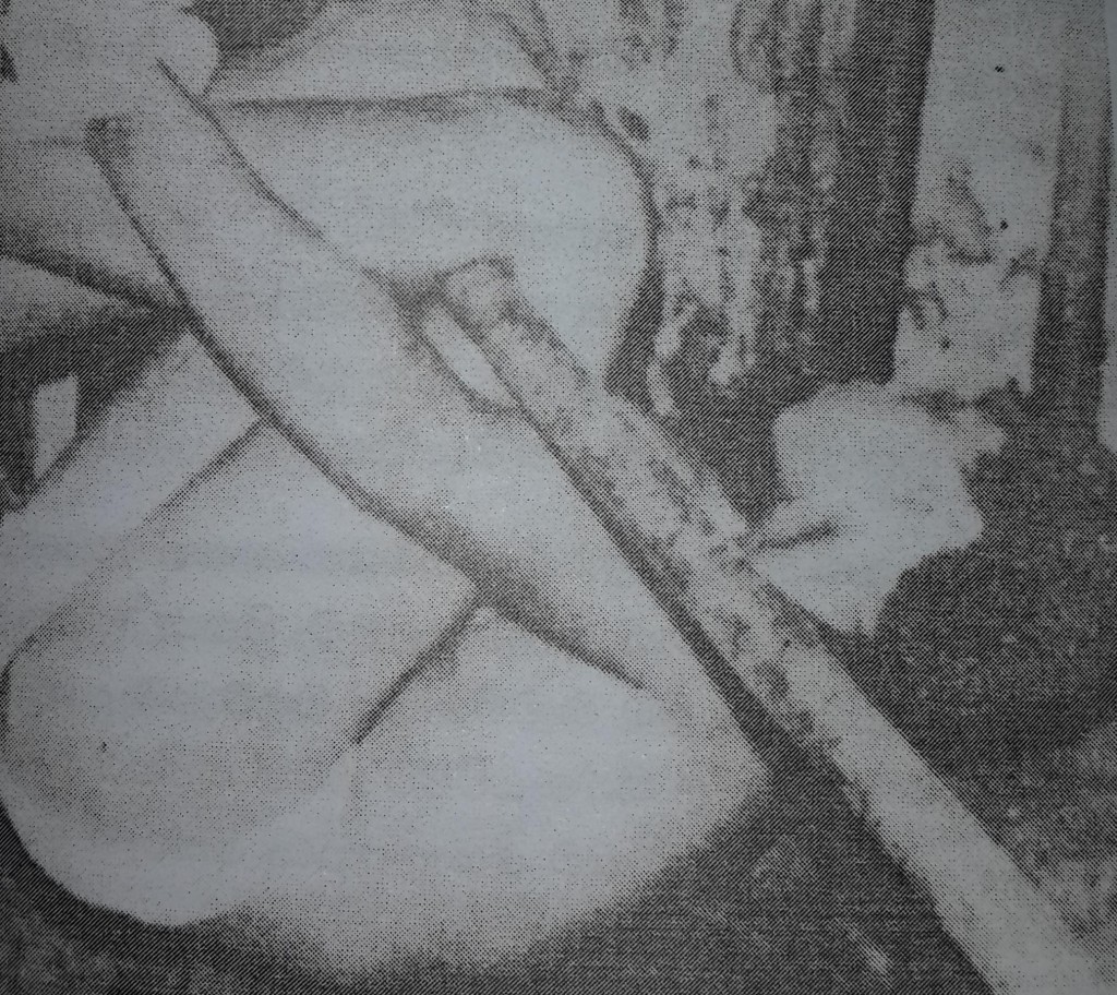 ilmahaviruo07.