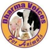 dhammavoicesforanimals