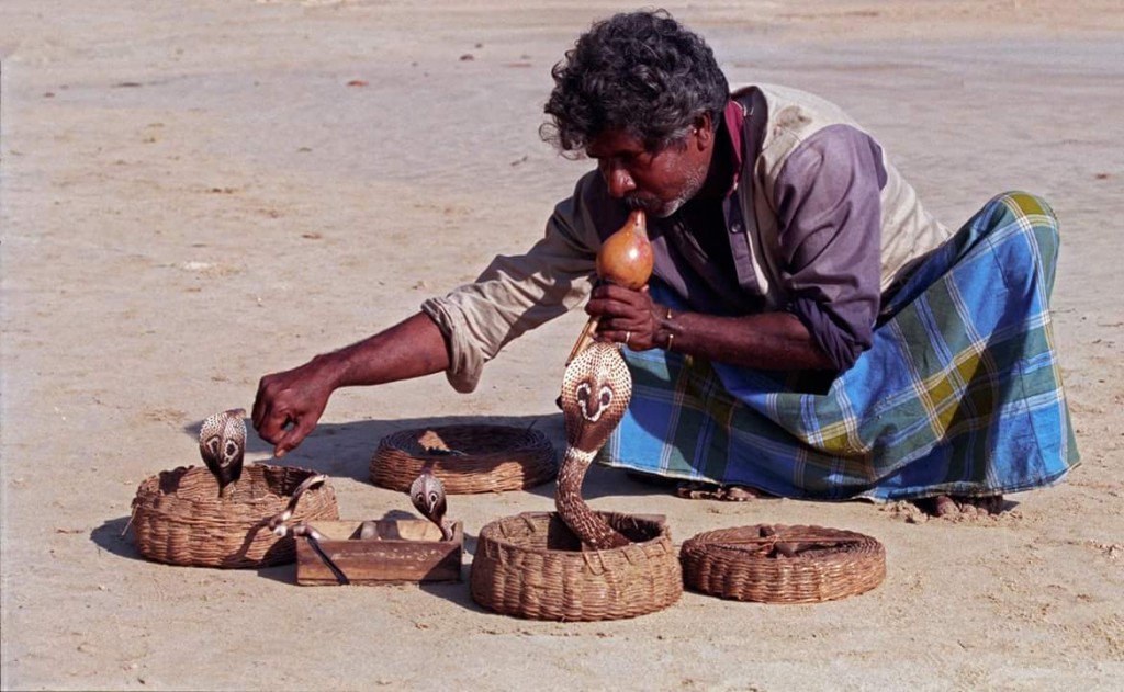 Dharman Wicremaretne02