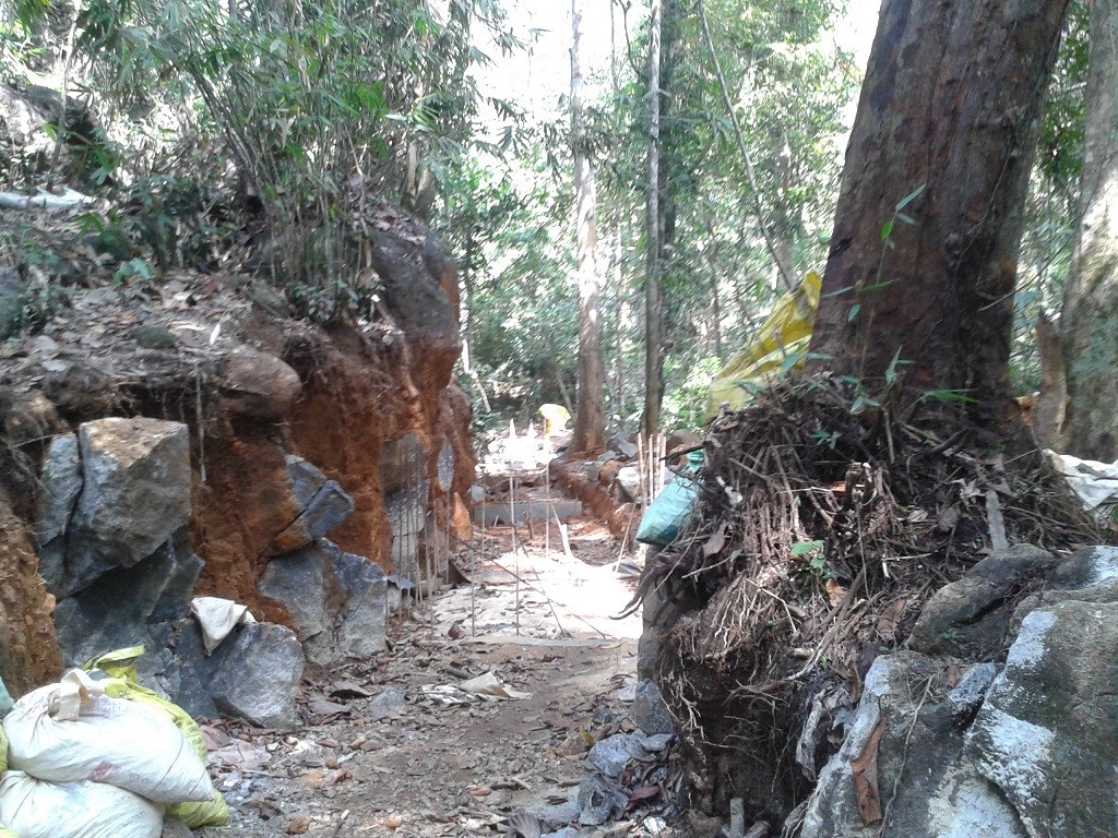 sinharaja06