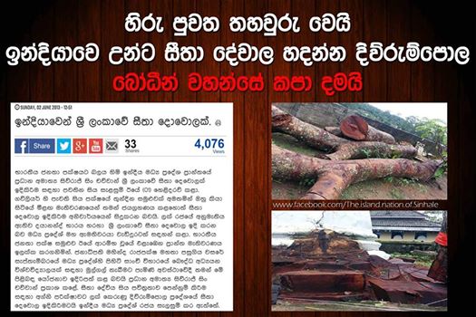 cuttingbodhitree1