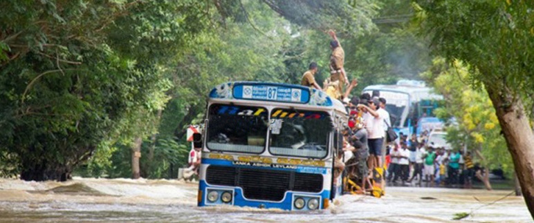 dharman20051603