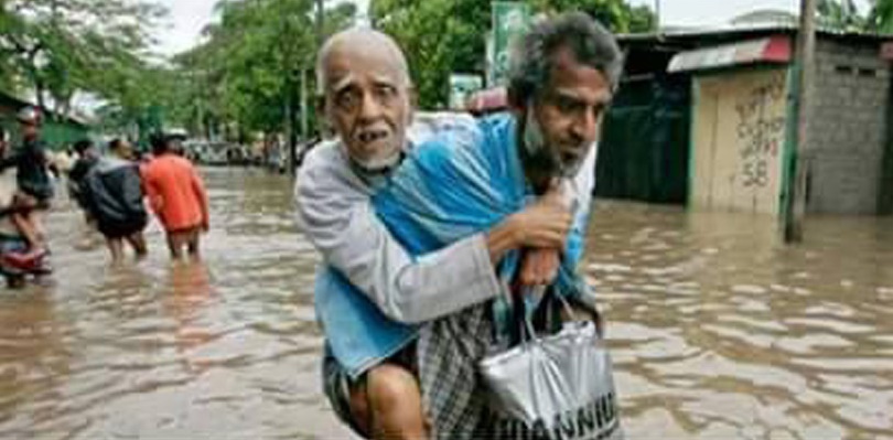 dharman20051605