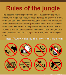 rulesofthejungle