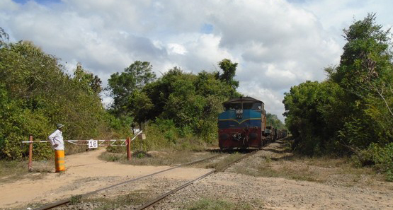 dharman15061602