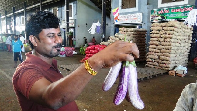 dharman01071606