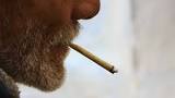 beedismoking1