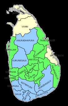 kamalika10011702